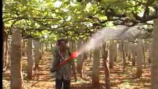 Cifarelli Sprayer Service | Ratnagiri Impex | Agrimart |  Best Sprayer supplier in Bangalore