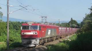 『701系』2016/8/13(JR東北本線・金谷川駅～松川駅｢新田踏切｣)