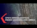 Warga Bentuk Kelompok 'camar' Sebagai Upaya Penyemalatan Pesisir Semarang Yang Terkikis Abrasi