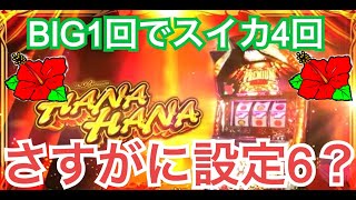 プレミアムハナハナのBIG中にスイカが4回落ちた台を粘ってみた。さすがに設定6なのか？最後はとんでもない結末が待っていた。