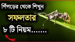 জীবনে সফল হতে চান? 🤔 || সফলতার ৮টি নিয়ম || Secret of SUCCESS in Bangla