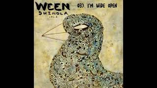 Shinola Vol. 2 by Ween (Full Fan Made Album)