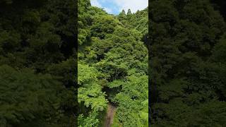 【超有名 映えスポット 入口】DJI AVATA2 小浦海岸 #ドローン #drone #空撮 #aerial #dji #avata2 #fpv #秘境 #shorts