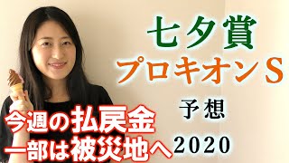 【競馬】七夕賞　プロキオンS 2020 予想(新馬戦とマリーンSはブログで予想！) ヨーコヨソー