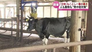 【乳牛もグッタリ】厳しい暑さ続き人も動物も熱中症対策 《新潟》