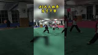 42式太极拳穿掌下势#太极拳 #太极