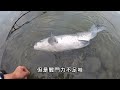 釣魚。岸拋。沉底。遠投。前打。路亞。牛車輪。深水炸彈。吐司麵包。