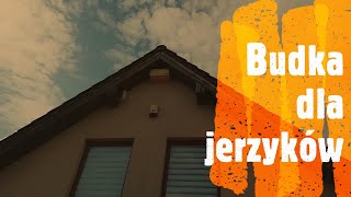 Budka dla jerzyków – zwalczanie komarów w ogrodzie. Jak zamontować budkę dla jerzyków?