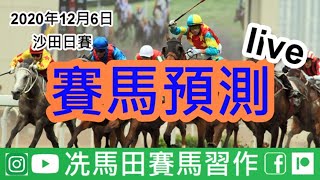 《冼馬田賽馬預測》2020年12月6日沙田日賽