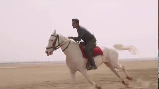 Khakee Movie Super Hit Trailer #1 || Khakee Telugu Movie || Karthi, Rakul Preet