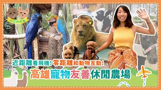 近距離看飛機!零距離和動物互動!高雄寵物友善淨園休閒農場｜外星狗貝果