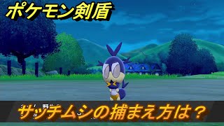 ポケモン剣盾　サッチムシを捕まえる方法！オススメの場所は？天気は？ポケモン図鑑コンプへの道！　最新版【ポケモンソード・シールド】