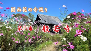 関西花の寺巡り 「般若寺」 2022年10月