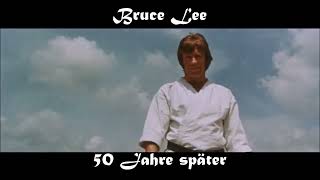 SMA 240 Bruce Lee # 13 - Das Goldene Dreieck
