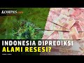 Faisal Basri Memprediksi soal Resesi Ekonomi di Indonesia