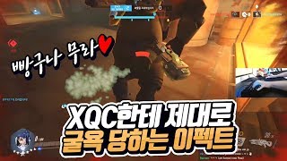 피1이 된 이펙트를 구석에 넣고 농락하는 XQC ㅋㅋㅋ 개웃김 ㅋㅋ