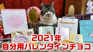 【2021年バレンタイン】かわいい！面白い！自分用バレンタインチョコギフトをリキちゃんと一緒に見てみよう🎵【リラックマ・カービィ・小判・かわうそ】☆猫が助手！購入品紹介