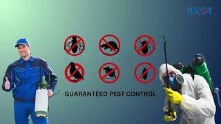 Best Pest Control Services Near You 🐜 | Safe \u0026 Affordable Pest Removal Experts