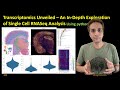 325: Transcriptomics Unveiled – An In-Depth Exploration of Single Cell RNASeq Analysis using python