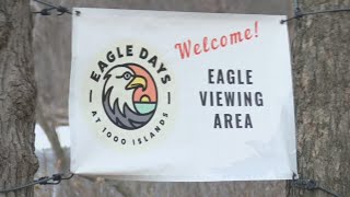 Eagle Days at 1000 Islands Nature Center in Kaukauna