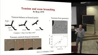 Multiscale modeling and simulations to bridge molecular... - 4 October 2018