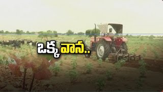 Telangana Cotton Farmers at Mahabubnagar District face troubles with no rains | NTV