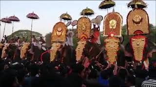 kozhimamparambu pooram 2019 l കോഴിമാംപറമ്പ് വേല 2019 കൂട്ടിയെഴുന്നെള്ളിപ്പ്