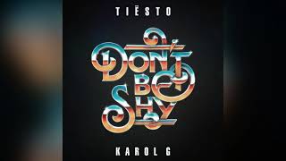 Tiesto & Karol G - Don't Be Shy (Extended Mix)