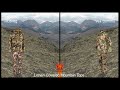 compare hunting camo patterns jackfield muskeg vs killik summit with deer vision on 14 backgrounds