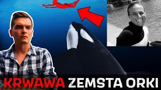 Zabójca czy ofiara? Szokujący atak orki w parku SeaWorld.