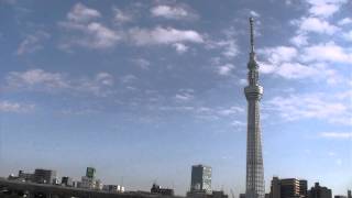 お正月！東京スカイツリーと流れる雲、時々カモメ！