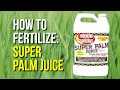 How To Fertilize: Super Palm Juice