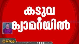 വയനാട് നരഭോജി കടുവയുടെ ദൃശ്യങ്ങൾ ക്യാമറയിൽ പതിഞ്ഞു; സാന്നിധ്യം കണ്ടെത്തിയത് കൂടിന് സമീപം | Wayanad