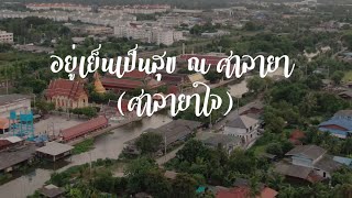 อยู่เย็นเป็นสุข ณ ศาลายา (ศาลายาใจ) - สาธารณศิลป์