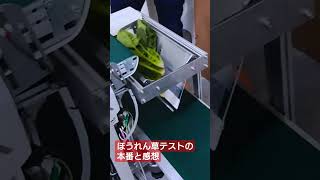 ほうれん草テストの本番と感想。