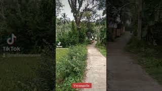 veyangalla land make call Kurukku road booku