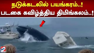 நடுக்கடலில் பயங்கரம்..! படகை கவிழ்த்திய திமிங்கலம்..! | sathiyamtv