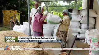 'നെല്ല് സംഭരിച്ച ഉടൻ കർഷകർക്ക് പണം ലഭ്യമാക്കണം';കേന്ദ്ര ബജറ്റിൽ പ്രതീക്ഷയോടെ കർഷകർ Union Budget 2023