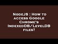 NodeJS : How to access Google Chrome's IndexedDB/LevelDB files?