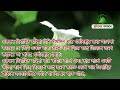 স্বপ্নে বিদেশ যেতে দেখলে কি হয় shopne bidesh jete dekhle ki hoy mizanur rahman azhari