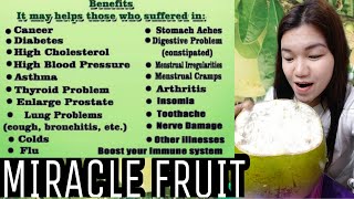 Health benefits of Calabash Fruit | Miracle Fruit