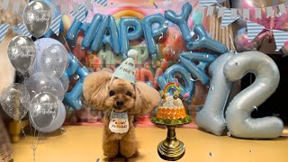 【HAPPY BIRTHDAY】 Make an additive-free cake for your dog's birthday and decorate it with balloons ✬