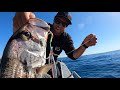 solo fishing catch and cook fish burgers. best tasting fish in the sea