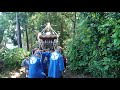 令和三年 神奈川県秦野市尾尻 八幡神社例大祭 神輿渡御