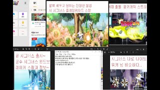 시그너스 모든 직업 스킬과 어떤 직업 키울지 총합본