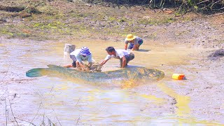 ថ្ងៃនេះចាប់ត្រីបានច្រើនណាស់ត្រីស្រែធំៗណាស់ WOW! Snails, crabs, fish #shorts #snails #khcountryside