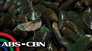 Salamat Dok: Sustansya ng mga Shellfish