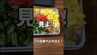 【お弁当作り】三色丼！ #shorts #家族 #料理 #弁当 #愛妻弁当 #旦那 #ランチ #飯テロ #vlog #japanesefood