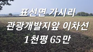 서귀포시 표선면 가시리 관광개발부지앞 이차선 1천평 65만 010 4436 0401 제주도부동산 토지 매매