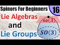 Spinors for Beginners 16: Lie Groups and Lie Algebras